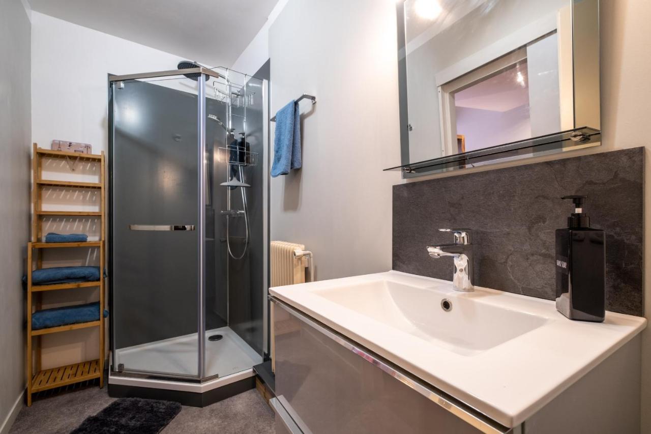 Appartement De Prestige - Rue Des Arts Тулуза Екстериор снимка